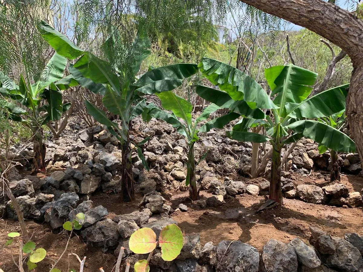 Pajar - Finca Tabaiba By Tor Icod De Los Vinos Spain